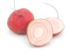 KI generiert: Das Bild zeigt einen violetten Kohlrabi mit grünen Blättern. Der Kohlrabi liegt auf einem weißen Hintergrund.