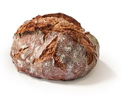 KI generiert: Das Bild zeigt ein rundes, rustikales Vollkornbrot mit einer knusprigen Kruste. Der Hauptinhalt ist das Brot, das auf einem hellen Hintergrund präsentiert wird.