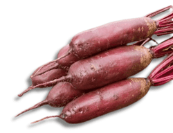 KI generiert: Das Bild zeigt einen violetten Kohlrabi mit grünen Blättern. Der Kohlrabi liegt auf einem weißen Hintergrund.