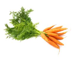 KI generiert: Das Bild zeigt einen violetten Kohlrabi mit grünen Blättern. Der Kohlrabi liegt auf einem weißen Hintergrund.