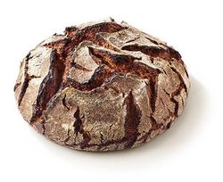 KI generiert: Das Bild zeigt ein rundes, rustikales Vollkornbrot mit einer knusprigen Kruste. Der Hauptinhalt ist das Brot, das auf einem hellen Hintergrund präsentiert wird.