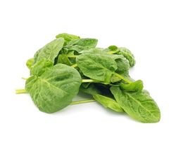 KI generiert: Das Bild zeigt einen violetten Kohlrabi mit grünen Blättern. Der Kohlrabi liegt auf einem weißen Hintergrund.