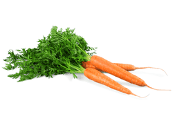 KI generiert: Das Bild zeigt einen violetten Kohlrabi mit grünen Blättern. Der Kohlrabi liegt auf einem weißen Hintergrund.