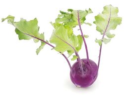 KI generiert: Das Bild zeigt einen violetten Kohlrabi mit grünen Blättern. Der Kohlrabi liegt auf einem weißen Hintergrund.