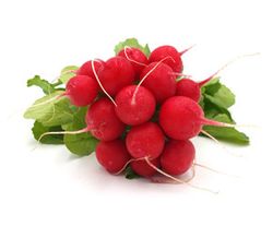 KI generiert: Das Bild zeigt einen violetten Kohlrabi mit grünen Blättern. Der Kohlrabi liegt auf einem weißen Hintergrund.