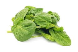 KI generiert: Das Bild zeigt einen violetten Kohlrabi mit grünen Blättern. Der Kohlrabi liegt auf einem weißen Hintergrund.