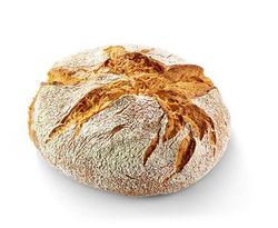 KI generiert: Das Bild zeigt ein rundes, rustikales Vollkornbrot mit einer knusprigen Kruste. Der Hauptinhalt ist das Brot, das auf einem hellen Hintergrund präsentiert wird.