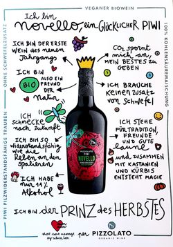 KI generiert: Das Bild zeigt eine Weinflasche mit dem Etikett „Landpartie Rotwein“, auf dem eine rote Gießkanne, Karotten und eine kleine Figur abgebildet sind. Das Etikett hat einen ländlichen, illustrativen Stil.