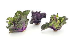 KI generiert: Das Bild zeigt einen violetten Kohlrabi mit grünen Blättern. Der Kohlrabi liegt auf einem weißen Hintergrund.