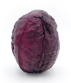 KI generiert: Das Bild zeigt einen violetten Kohlrabi mit grünen Blättern. Der Kohlrabi liegt auf einem weißen Hintergrund.