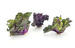 KI generiert: Das Bild zeigt einen violetten Kohlrabi mit grünen Blättern. Der Kohlrabi liegt auf einem weißen Hintergrund.