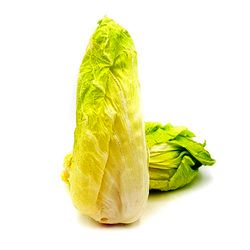 KI generiert: Das Bild zeigt einen violetten Kohlrabi mit grünen Blättern. Der Kohlrabi liegt auf einem weißen Hintergrund.