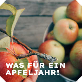 KI generiert: Das Bild zeigt eine stilisierte lila Aubergine mit einem grünen Stiel. Der Hintergrund ist transparent.