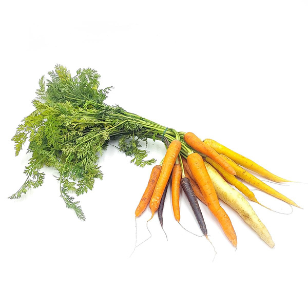 Produktfoto zu Bundmöhren BUNT ca. 700g