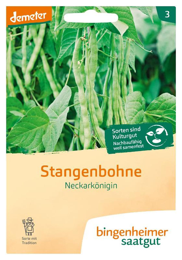 Produktfoto zu Saaatgut Stangenbohnen Neckarkönigin von Bingenheimer Saatgut