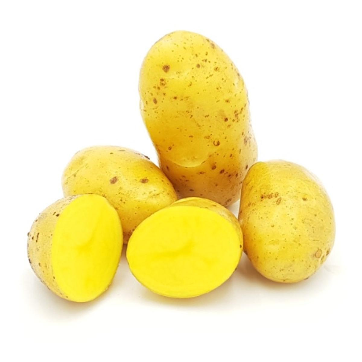 festkochende Kartoffeln