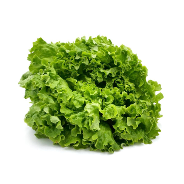 Produktfoto zu grüner Bataviasalat