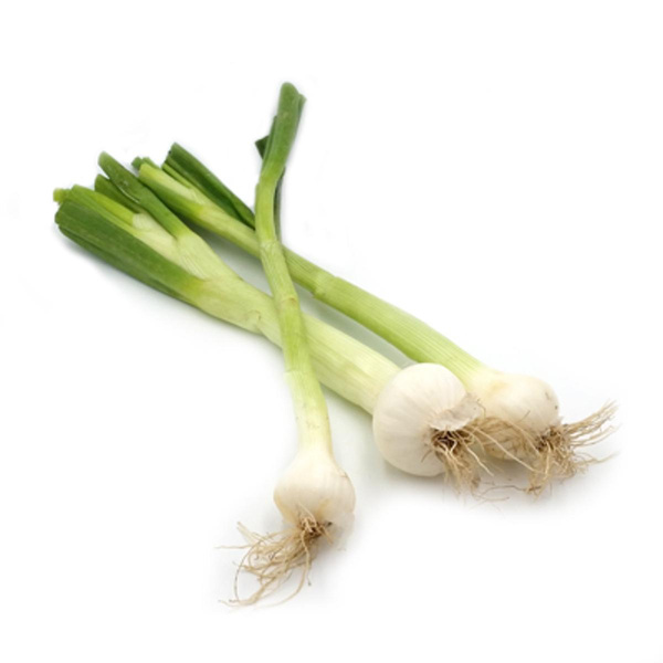 Produktfoto zu Lauchzwiebeln