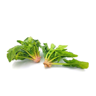 Produktfoto zu Spinat von Bursch