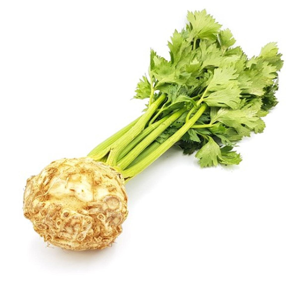 Produktfoto zu Knollensellerie mit Grün