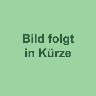 Produktfoto zu Couscous Salat von bio-verde