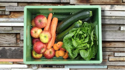 Produktfoto zu Obst-Gemüse-Mix groß