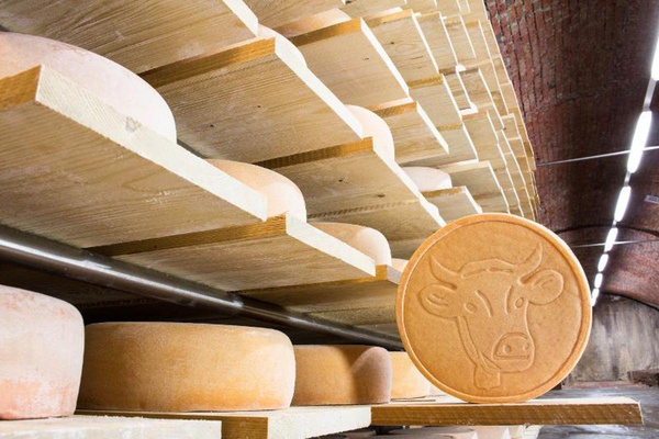 Produktfoto zu Allgäuer Hornkäse, 50% höhlengereift aus Heumilch von der Schaukäserei Wiggensbach