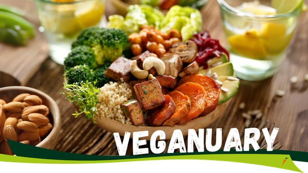 KI generiert: Das Bild zeigt eine Schüssel mit buntem, veganem Essen, darunter Brokkoli, Tofu, Nüsse und Süßkartoffeln. Der Text "Veganuary" betont die vegane Ernährung.