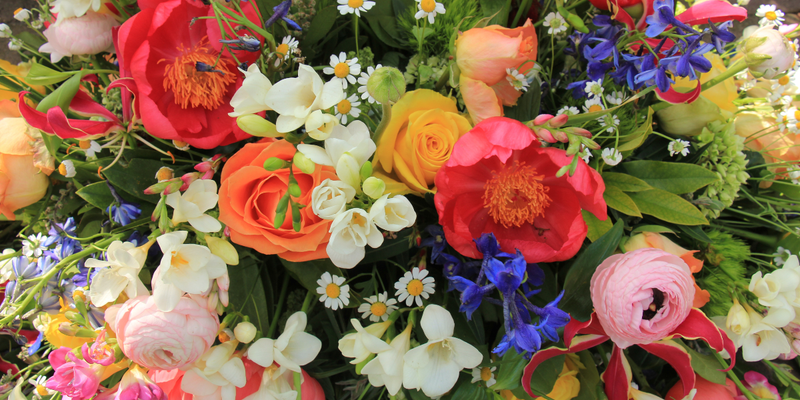 Blumen mit & ohne Topf