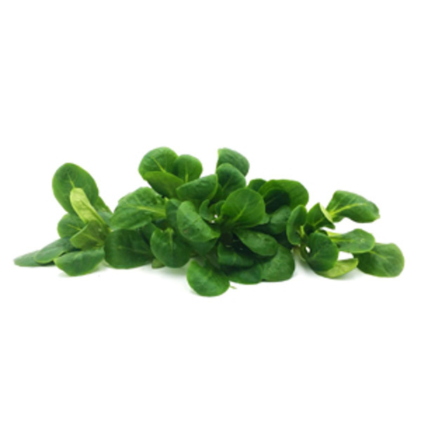 Produktfoto zu Feldsalat, 125g