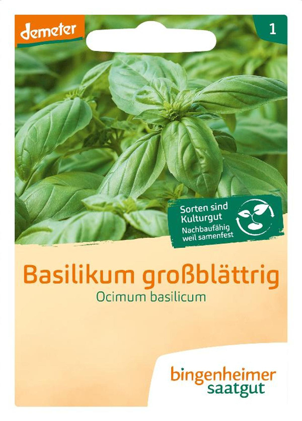 Produktfoto zu Saatgut Basilikum großblättrig von Bingenheimer Saatgut