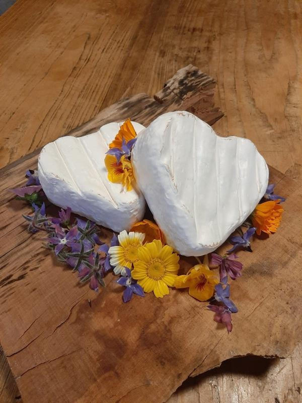Produktfoto zu Weichkäseherzen Süße Sissi aus Heumilch, ca.230g, 60% von Schaukäserei Wiggensbach