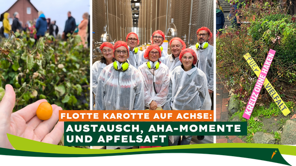 KI generiert: Gruppenfoto in Schutzkleidung, Obsternte und buntes Schild; Text: "FLOTTE KAROTTE AUF ACHSE: AUSTAUSCH, AHA-MOMENTE UND APFELSAFT".