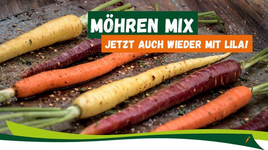 Unser Wochenangebot 11