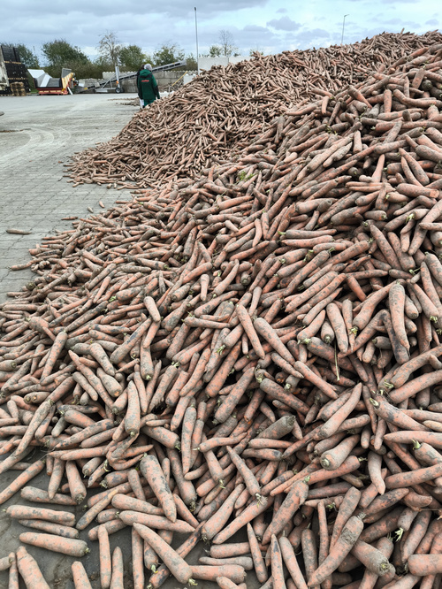KI generiert: Ein großer Haufen Mören auf einem Industriegelände, eine Person im Hintergrund.