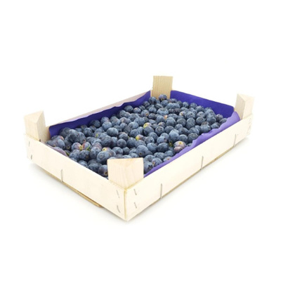 Produktfoto zu Heidelbeeren in der 1 kg-Kiste
