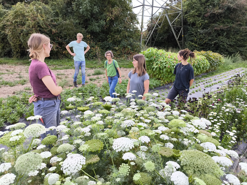 KI generiert: Personen stehen in einem Blumenfeld, im Hintergrund Bäume und ein Strommast.