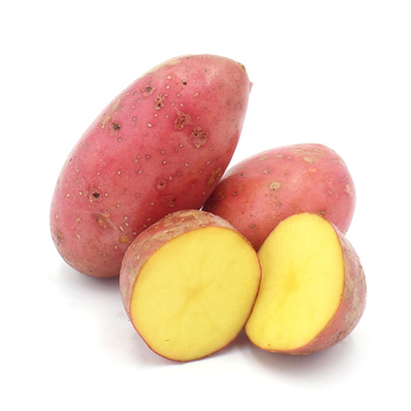 Produktfoto zu rotschalige Kartoffeln Laura neue Ernte