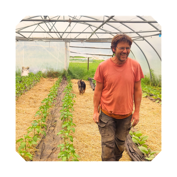 KI generiert: Ein Mann in einem Gewächshaus mit Pflanzen und einem Hund.