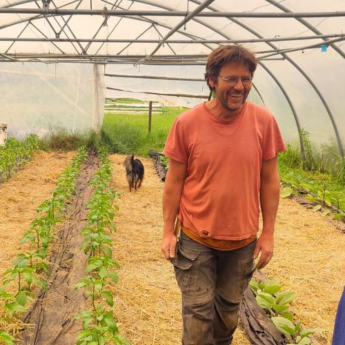 KI generiert: Ein Mann lacht in einem Gewächshaus, umgeben von Pflanzenreihen.