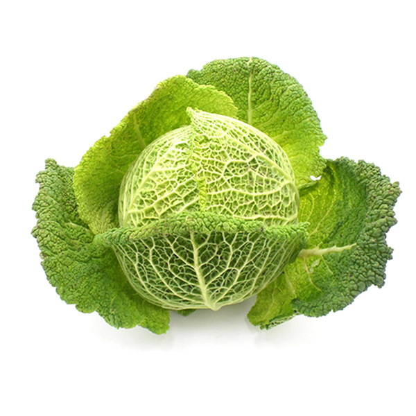 Produktfoto zu Wirsing mit Umblatt