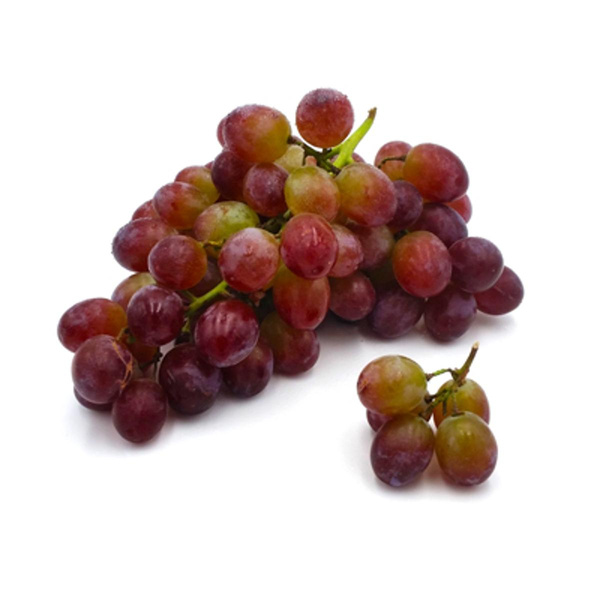 Produktfoto zu dunkle Trauben Black Magic