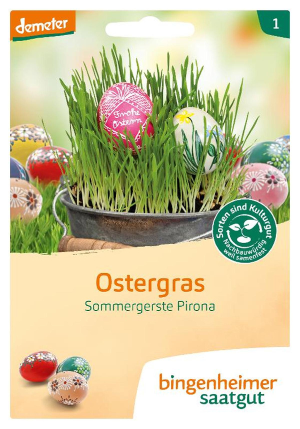 Produktfoto zu Ostergras Saatgut von Bingenheimer Saatgut