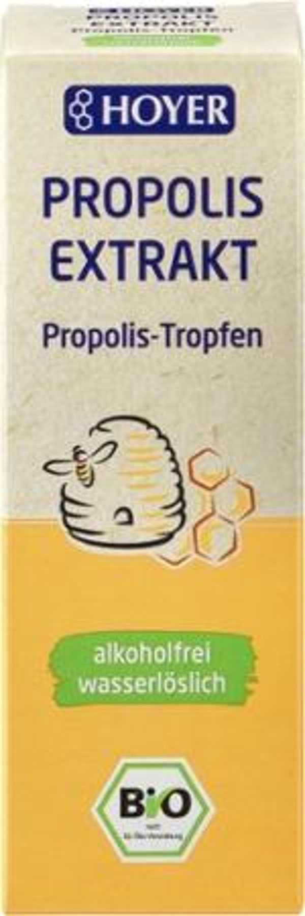 Produktfoto zu Propolis Extrakt flüssig alkoholfrei