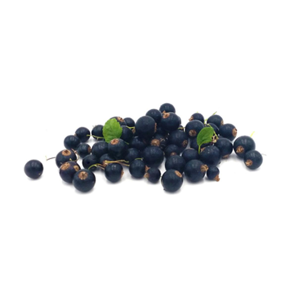 Produktfoto zu schwarze Johannisbeeren von Felchner