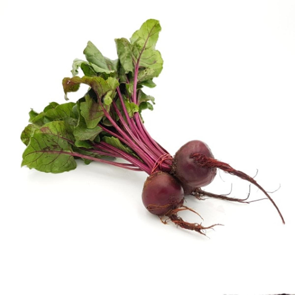 Produktfoto zu Rote Bete im Bund
