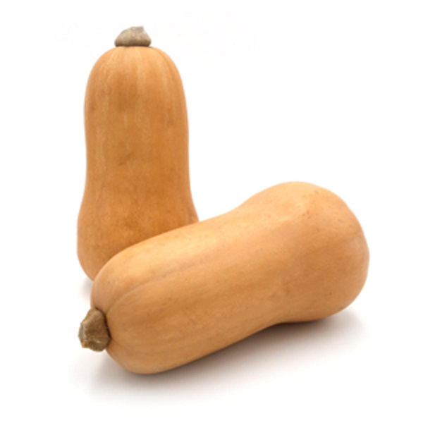 Produktfoto zu Kürbis Butternut