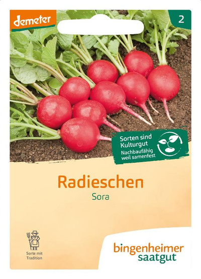 Produktfoto zu Saatgut Radieschen Sora von Bingenheimer Saatgut