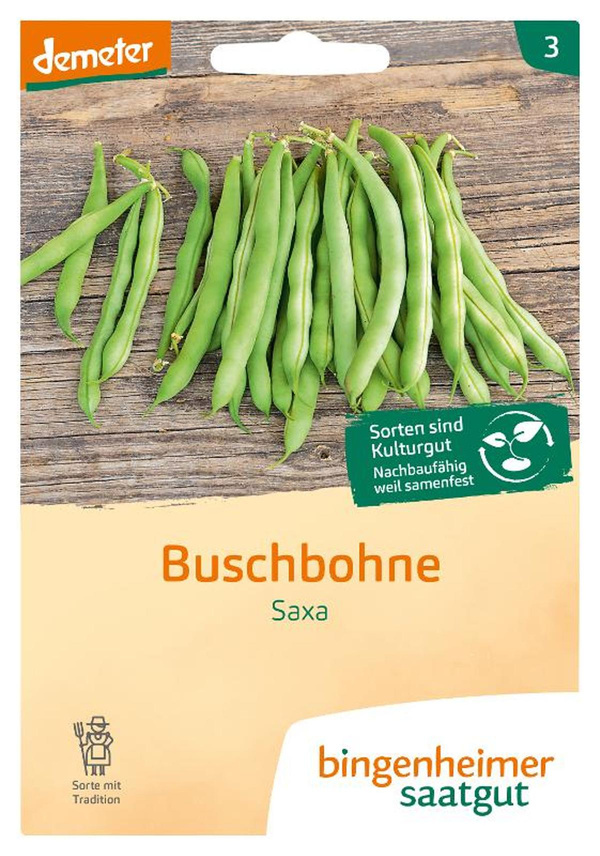 Produktfoto zu Saatgut Buschbohne Saxa von Bingenheimer