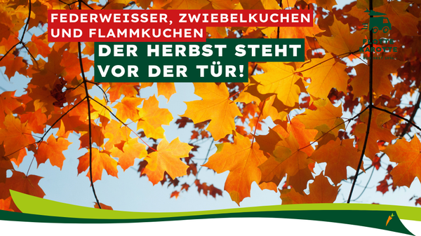 KI-generierte Beschreibung: Herbstliche Werbung für Federweißer, Zwiebelkuchen und Flammkuchen. "Der Herbst steht vor der Tür!"